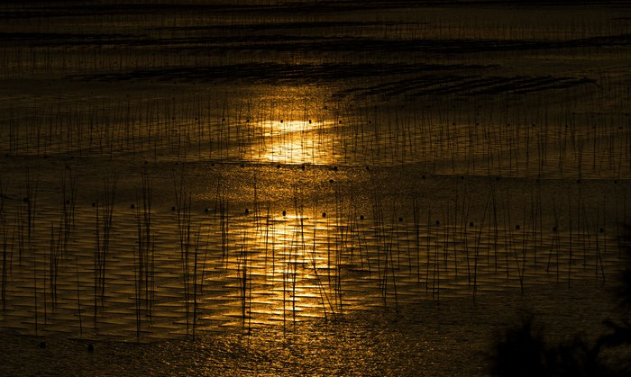 缤越自驾游光影霞浦，真是难得一见的景象，更觉夕阳无限好