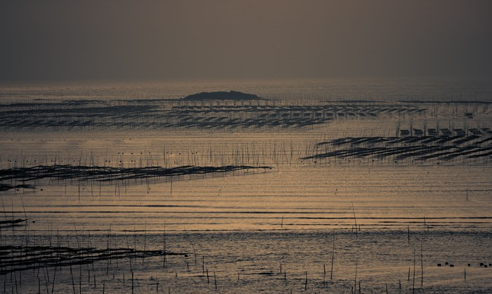 缤越自驾游光影霞浦，真是难得一见的景象，更觉夕阳无限好