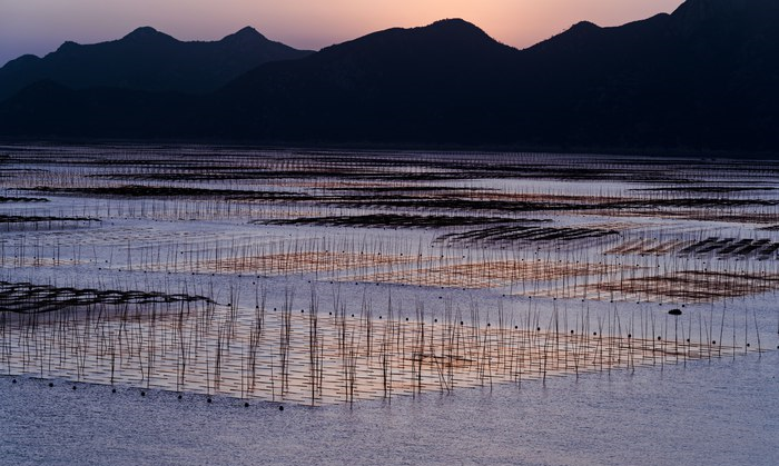 缤越自驾游光影霞浦，真是难得一见的景象，更觉夕阳无限好