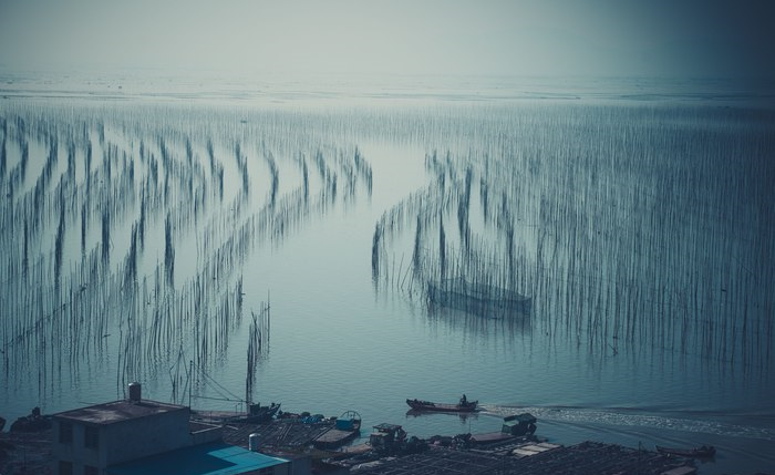 缤越自驾游光影霞浦，真是难得一见的景象，更觉夕阳无限好