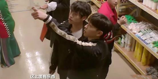 邓伦上新综艺,与杨幂一起化身聪明小狐狸,太