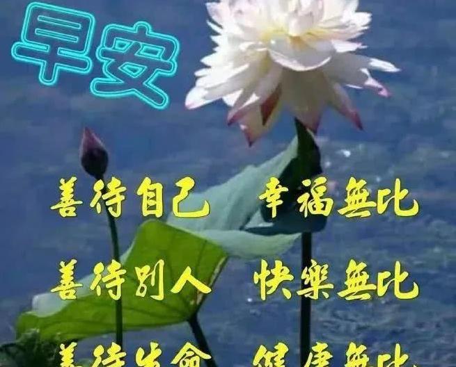 周二非常温馨早安问候语动态图片表情,早上好祝福语问候短信