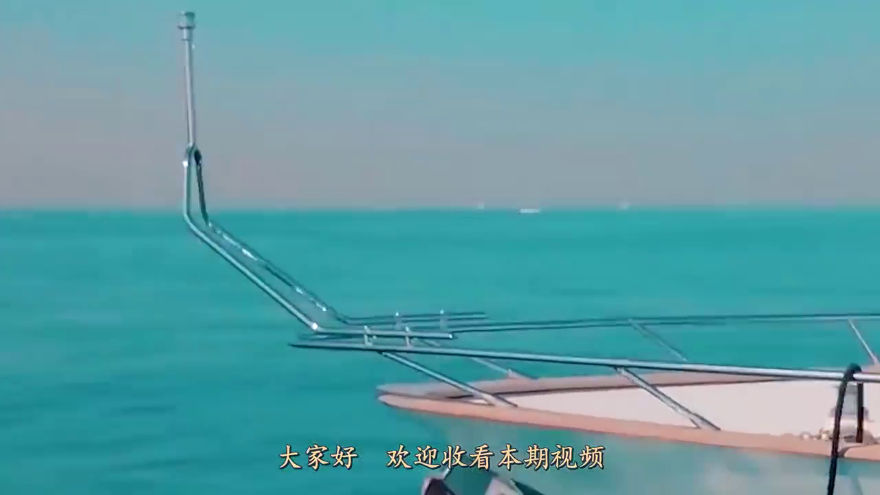 老外发明最新交通工具，不耗油不耗电，电动车自行车将被代替