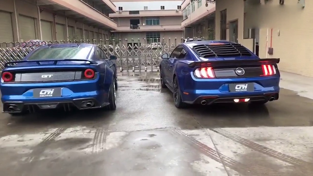 两辆改装不同风格的野马跑车，哪辆帅气