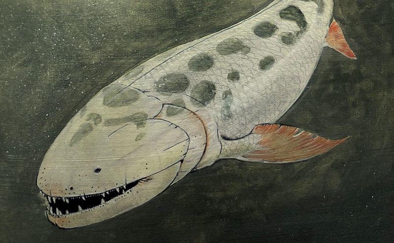远古时期巨兽含肺鱼,体长8米,以鲨鱼为食