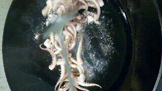 秘制神级烧烤料,做嘛嘛香!铁锅鱿鱼、香豆腐堪比夜市之霸!