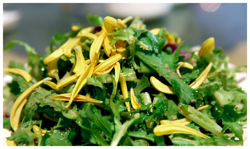 3,菊花 花瓣拌进生菜色拉里,又漂亮又好吃?