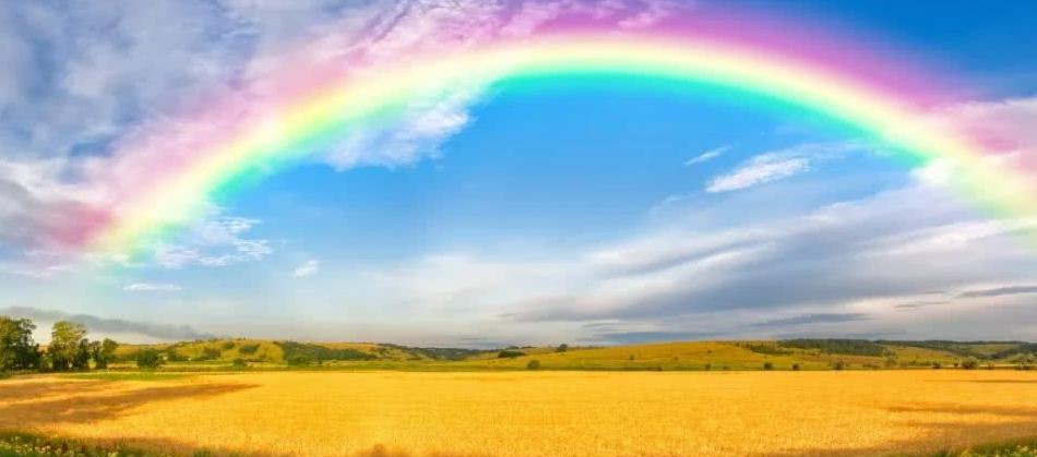 彩虹总在风雨后 成长总在逆境中