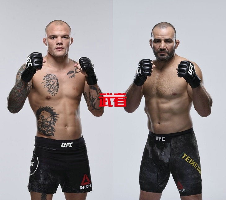 UFC格斗之夜173:史密斯vs特谢拉,卡尔维洛vs安东尼娜
