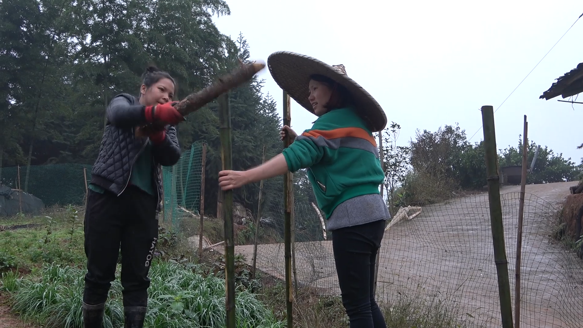 农村小英子:英子冒雨给菜园做围栏,表妹来帮忙,姐妹俩合作挺好