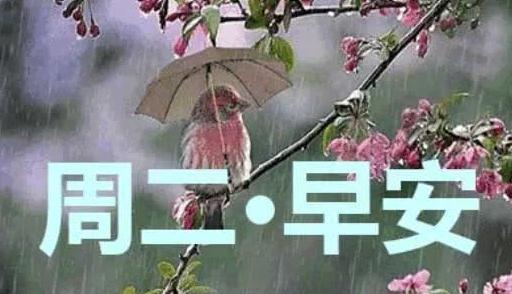 12月星期二早晨好祝福图片 新的一天早上好表情图片全集