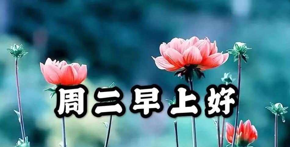 12月星期二早晨好祝福图片 新的一天早上好表情图片全集
