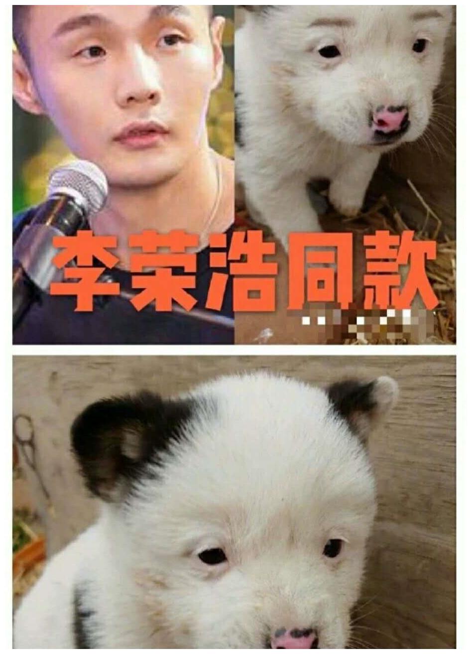 Hollywood Is Using Chinese Actors To Promote Films Without Casting