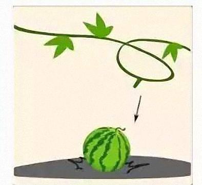 看图猜成语417隋唐是什么_看图猜成语:思路要清晰,答案就会很明了!(2)