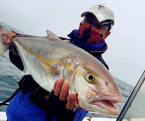 新蓝人口鱼_红尾金龙介绍 红尾金龙特征 红尾金龙习性 红尾金龙怎么养 西付罗(2)