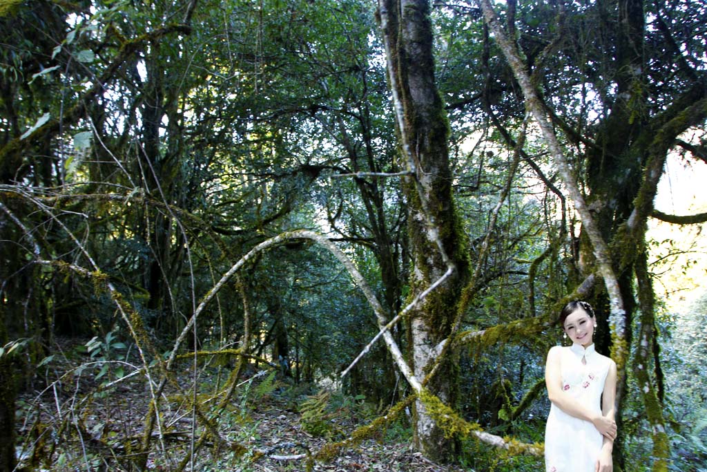姚青春老家云南是个旅游的好地方，大自然风光山水风景美极了