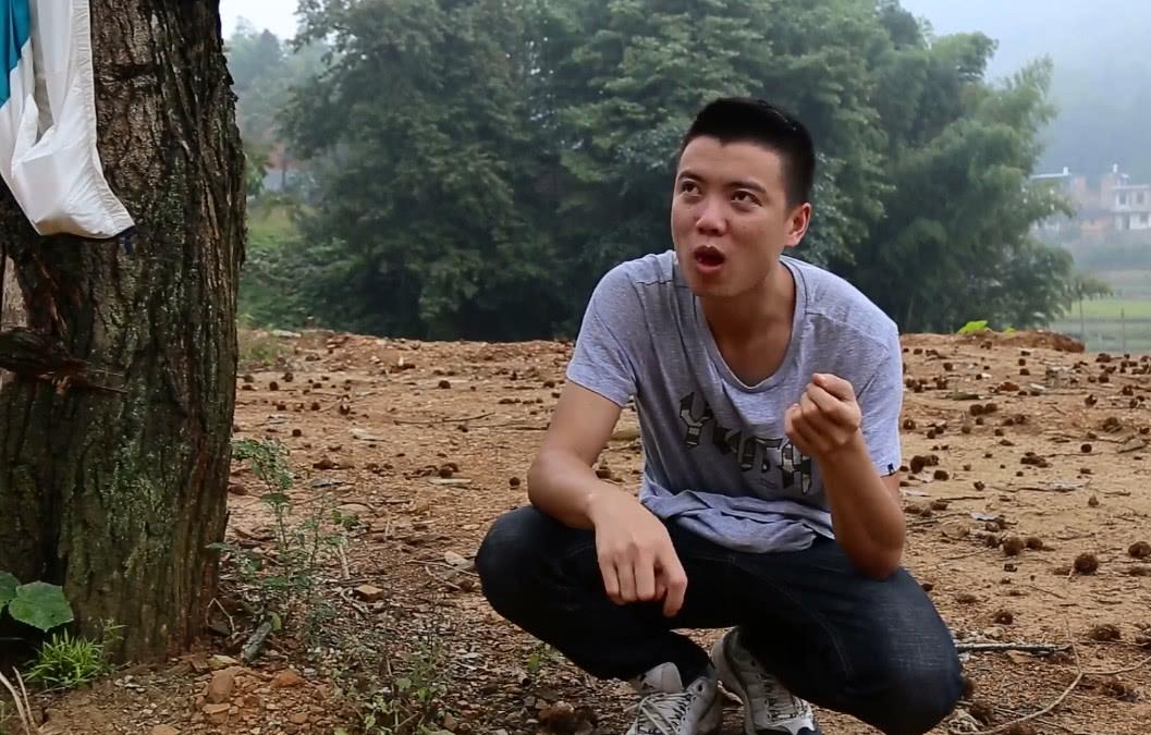 这山货浑身长满刺,生吃嘎嘣脆熟吃香喷喷,小伙爬树摇下来满地