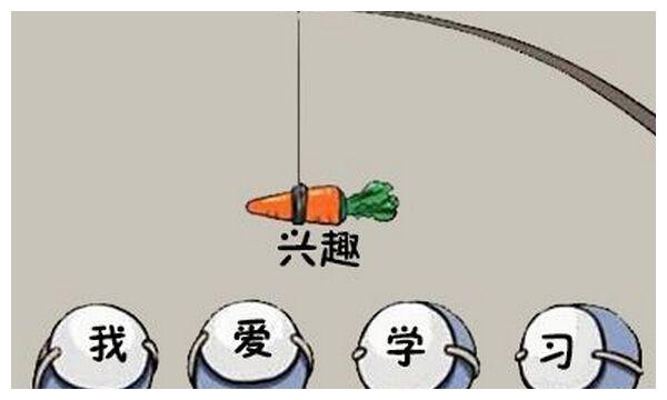 孩子一年级,数学不开窍不爱学习,分数就差抱鸭