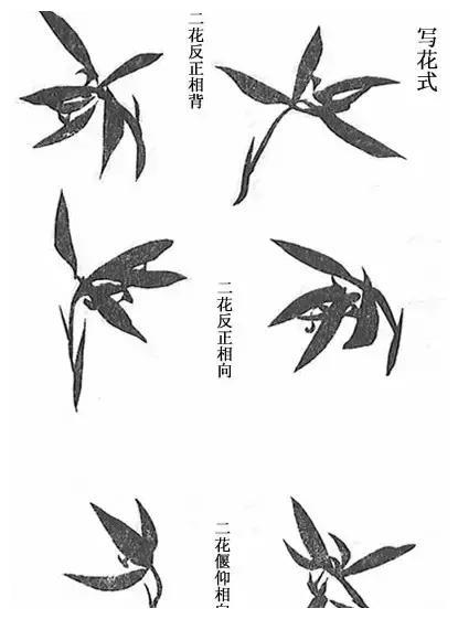 为您解读《芥子园画传》之兰谱！