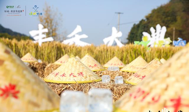 绿城版“下乡上山”，“丰禾大典”诠释当代中国生活新趋势