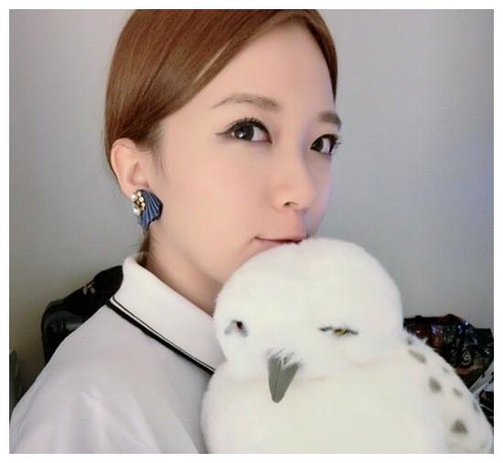 靖哥哥黄日华的女儿竟是她！美貌宛如郭襄，任性恰似郭芙！
