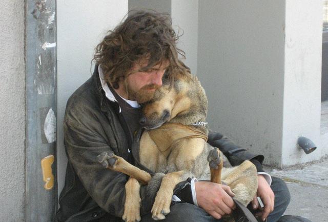 当找到流浪汉的墓前看到这一幕时,主人感动哭了.