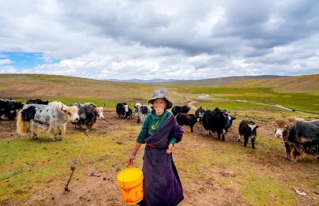 青藏高原出现不妙现象：情况不容乐观，或影响几十亿人的生活青藏高原图瓦卢水域新浪新闻 1012