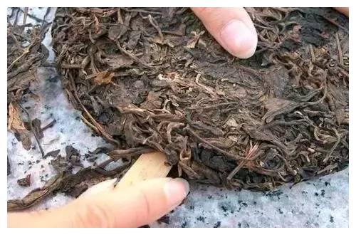 史上最全普洱茶知识,值得收藏