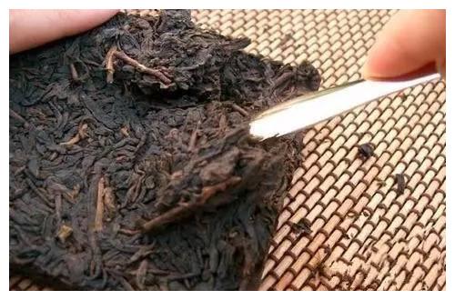 史上最全普洱茶知识,值得收藏