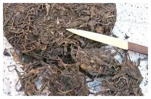 史上最全普洱茶知识,值得收藏