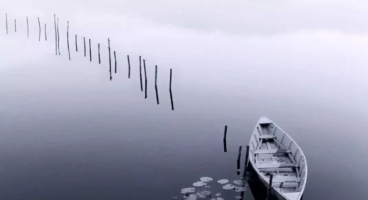 在禅意摄影的这些作品中,能够让人感受到一种空灵宁静,清雅绝尘的东方