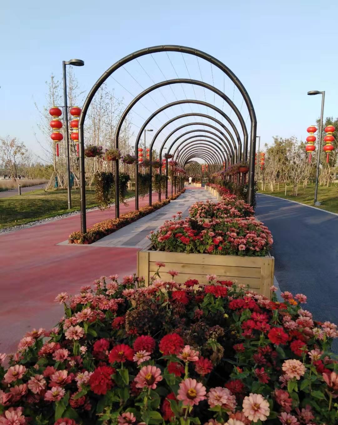济宁凤凰台植物公园开园,市民又添一处旅游休闲景区