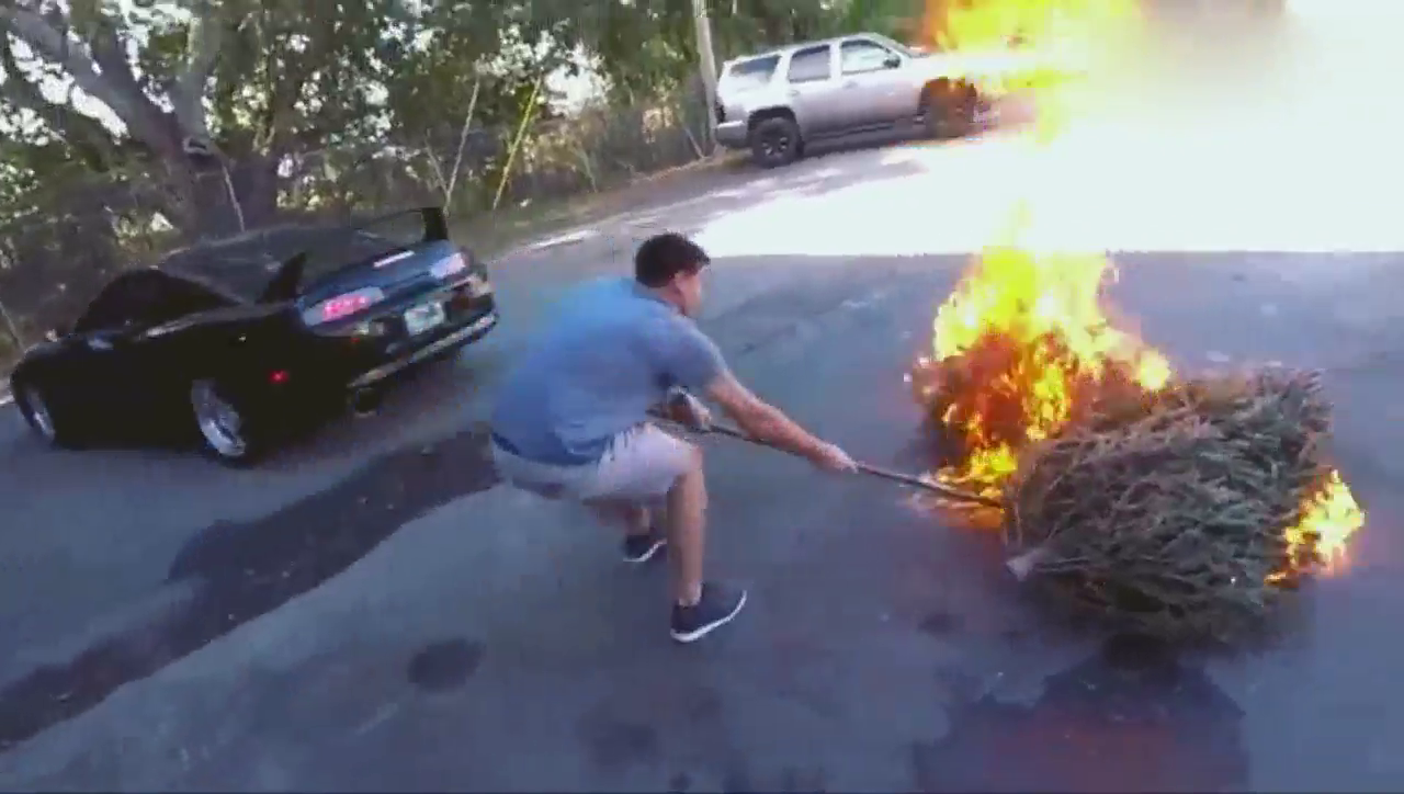 跑车排气管放一堆烂树枝，一脚油门踩下去车主后悔了