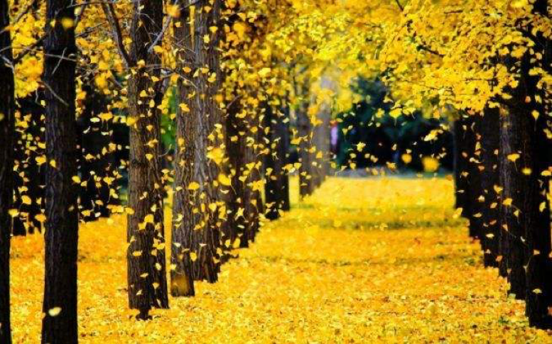 5首“相思”诗词：欲语还休说不尽，最是相思入骨时！