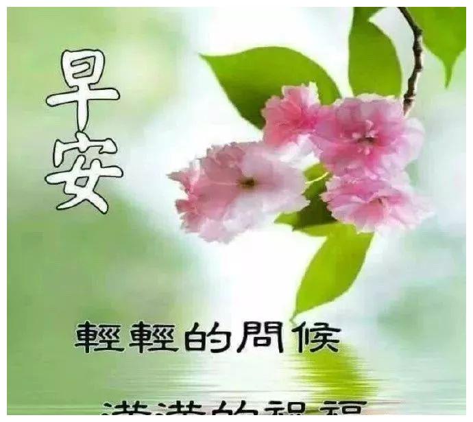 清晨最漂亮的早上好问候语录图片,唯美的早上好祝福图片