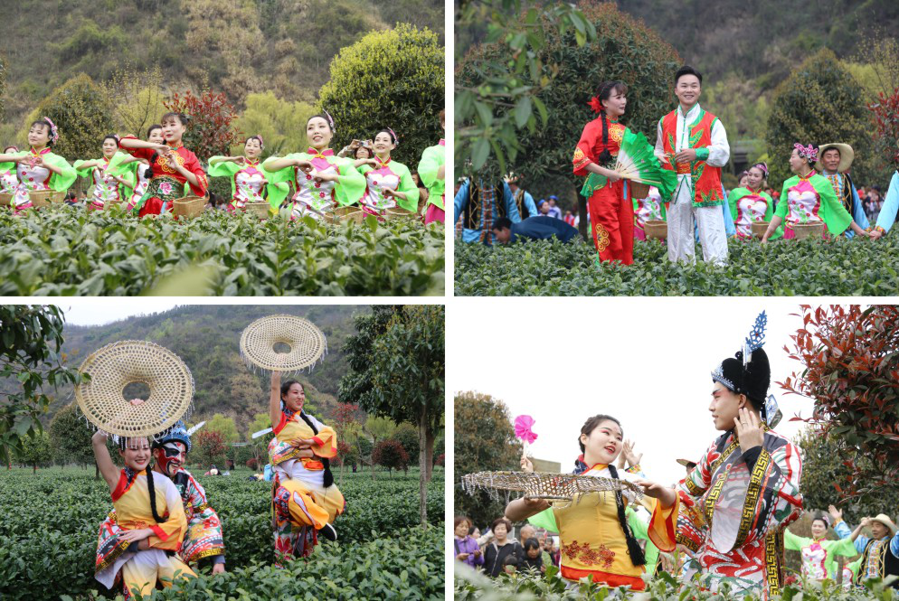 2019中国·平利“茶之旅”文化旅游节盛大开幕