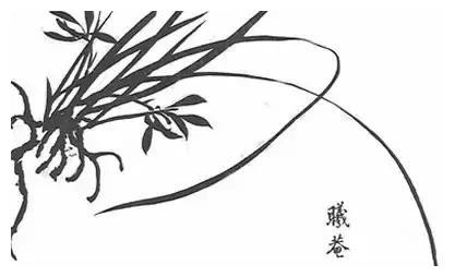为您解读《芥子园画传》之兰谱！