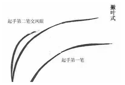 为您解读《芥子园画传》之兰谱！
