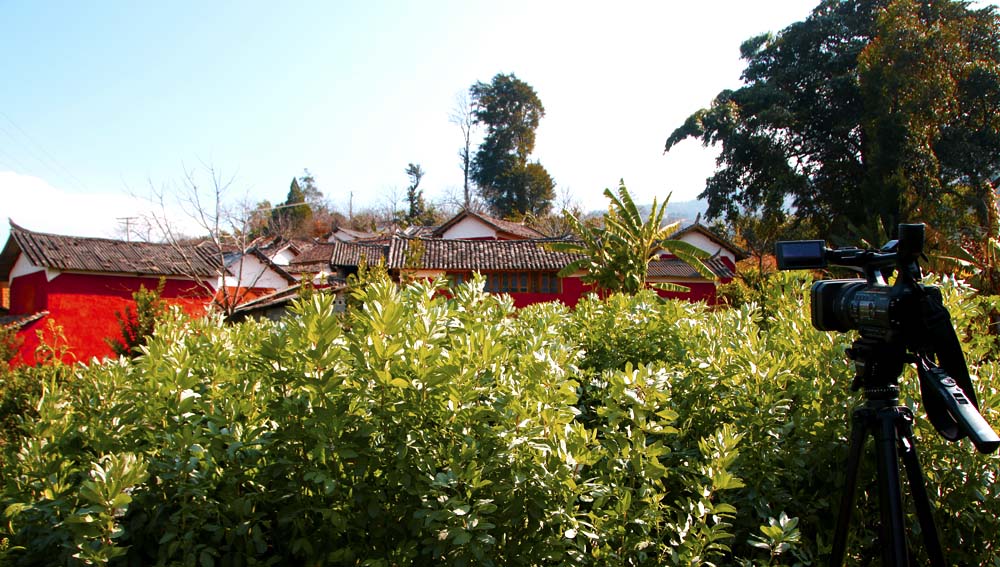 姚青春老家云南是个旅游的好地方，大自然风光山水风景美极了