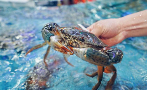 物价低的城市排名_全国物价最低的城市之一,食物都按公斤卖,牛羊肉每