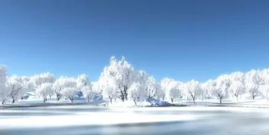 欣赏摄影师镜头下的北国风光,在冰天雪地中,感受万里冰封的美丽