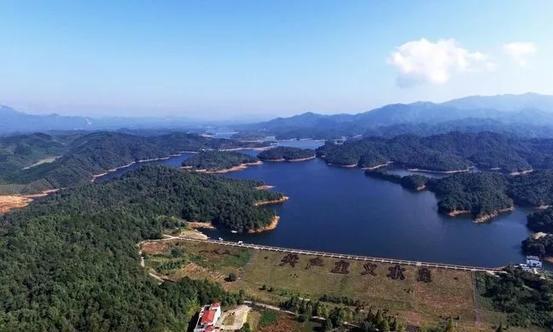 乐平私人工作室新茶靠谱吗