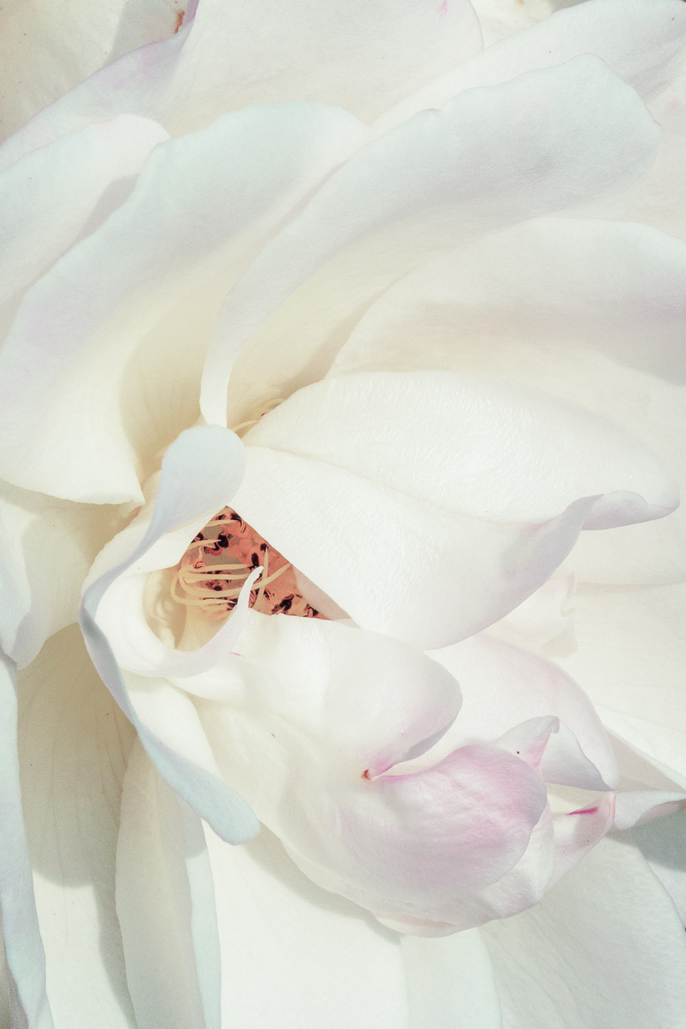 努力奋斗,让人生有血有肉…