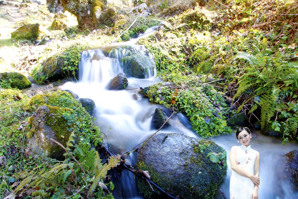 姚青春老家云南是个旅游的好地方，大自然风光山水风景美极了