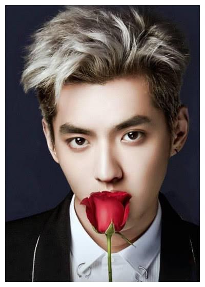 吴亦凡2019演唱会海报曝光,众人尖叫不已,网友