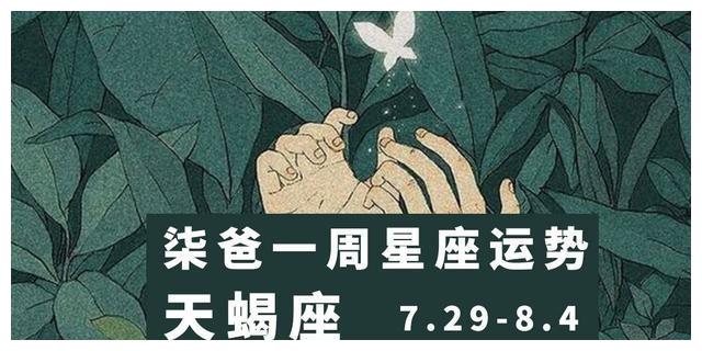 「天蝎座」柒爸一周星座运势7.29-8.水瓶座哈士奇图片