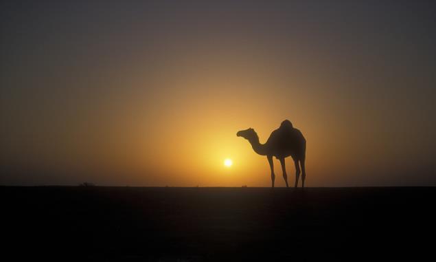 玛莎拉蒂教你如何耍单，概念车单座无顶 怪兽：复古风格一人独享