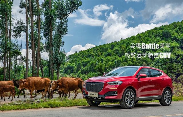 想知道“哈弗“近期资讯盘点，你想要的这里都有