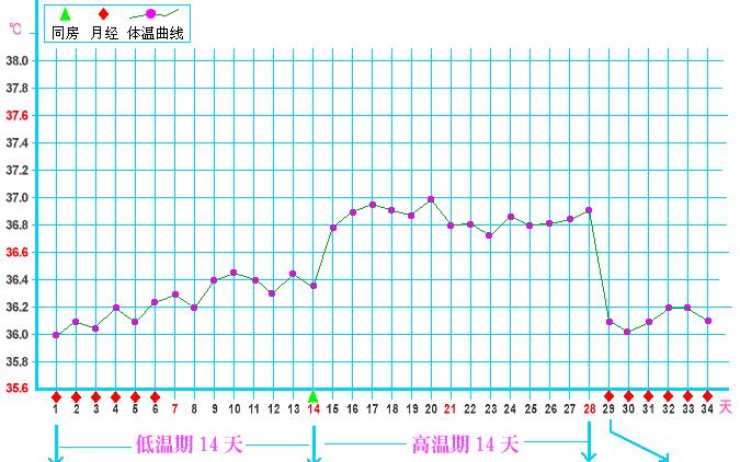 日前 体温 排卵 【徹底解説】妊娠したかなと思った方に