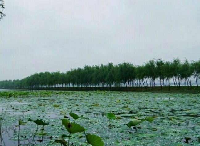 艾溪湖湿地公园,是江西省南昌市,典型城市的天然湿地